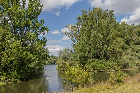 Albkanal at the "Schmugglermeer" Eggenstein-Leopoldshafen