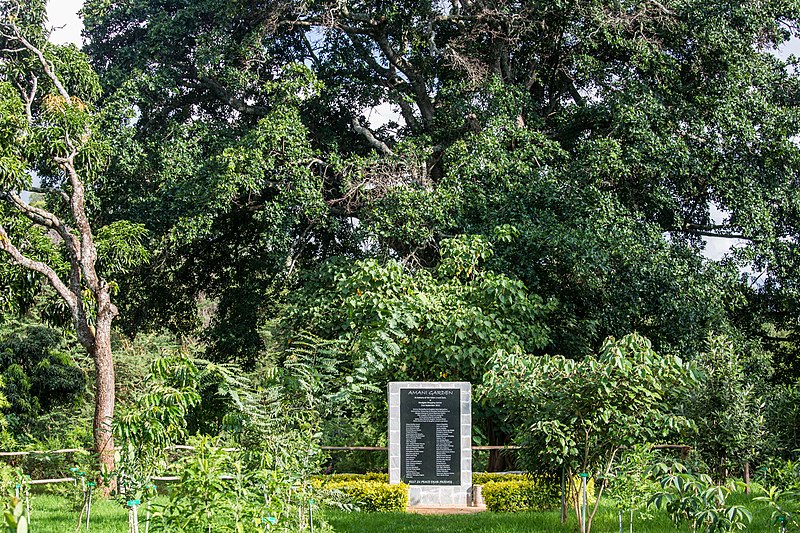 File:Amani Garden, Karura Forest, Nairobi.jpg