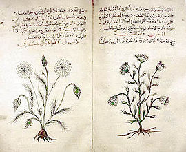 270px-Arabic_herbal_medicine_guidebook.jpeg