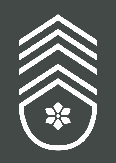 ไฟล์:Army-BEL-OR-09b.svg