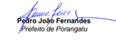 Assinatura de Pedro João Fernandes