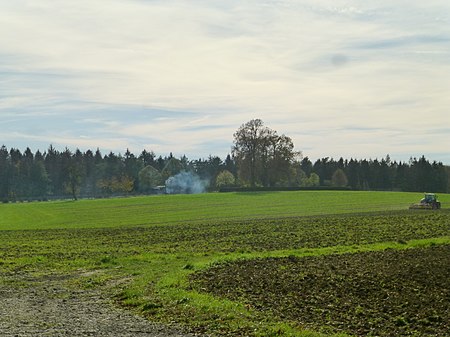 Auf dem Karnberg (2)