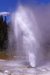 <span class="mw-page-title-main">Aurum Geyser</span>