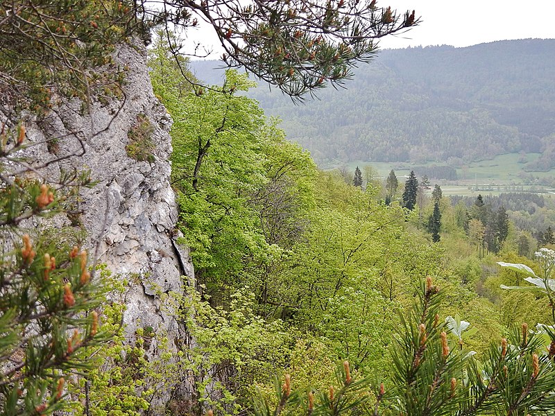 File:Ausblick vom Albtraufgängerweg und Donau-Zollernalb-Weg - panoramio (3).jpg