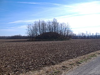 <span class="mw-page-title-main">Austin Brown Mound</span> Archaeological site in Ohio, United States