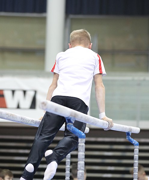 File:Austrian Future Cup 2018-11-23 Training Afternoon Parallel bars (Martin Rulsch) 0934.jpg