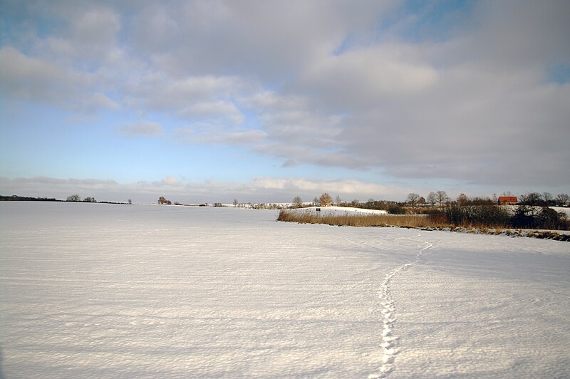 File:Bagow winter landscape 02.01.2011 15-34-36.JPG