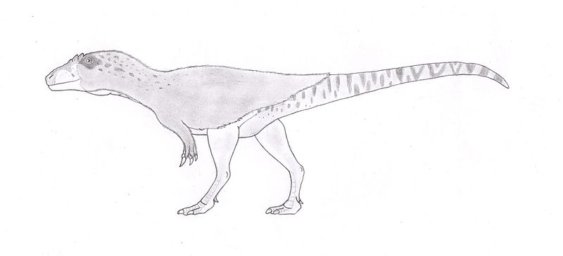 File:Bahariasaurus ingens, like megaraptora.jpg
