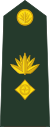 Бангладеш-армия-OF-4.svg 