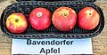 Bavendorfer Apfel