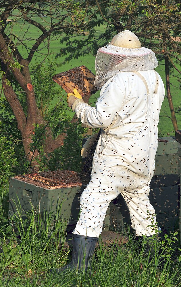 Beekeeper-avatar