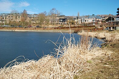 La pointe nord du lac où aurait dû se dresser le musée de Louvain-la-Neuve selon le projet Perkins+Will.