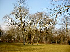 Ernst Grube Park