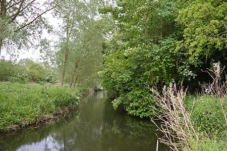 Bocking Blackwater 10