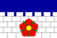 Borovany zászlaja