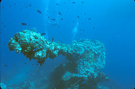 Bow gun of the Fujikawa Maru, Chuuk lagoon