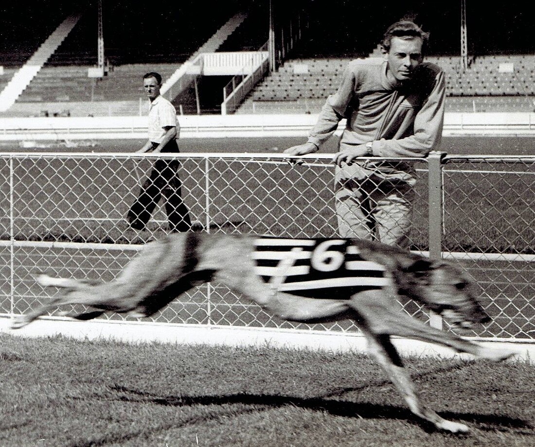 Mistrzostwa Europy w Lekkoatletyce 1958 – bieg na 1500 m mężczyzn