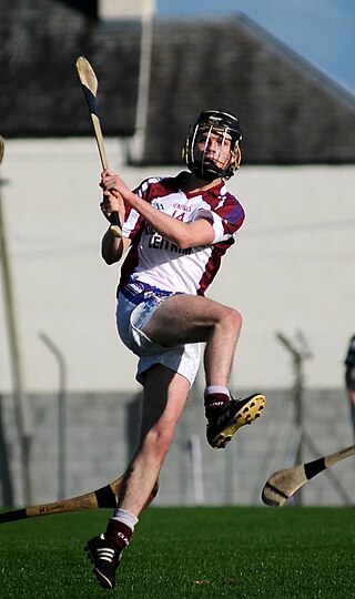 <span class="mw-page-title-main">Brian Molloy (hurler)</span> Irish hurler