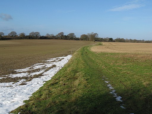 Bridleway connecting Thakeham with West Chiltington - geograph.org.uk - 1671458