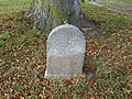 Friedrich-Franz memorial stone with linden tree