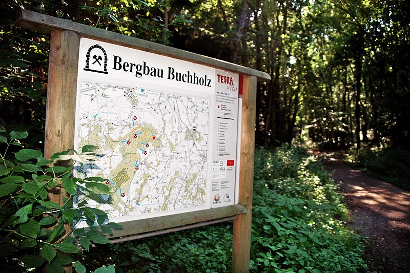 File:Buchholz Bergbauwanderweg 1.jpg