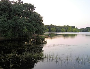 Buescher State Park