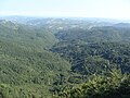Поглед от връх Българка към горите на природен парк „Българка“