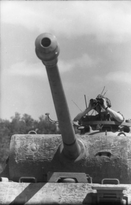 Tập_tin:Bundesarchiv_Bild_101I-478-2167-09,_Italien,_Panzer_V_(Panther),_Panzersoldat.jpg