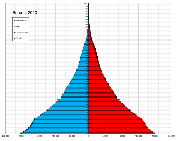 File:Burundi single age population pyramid 2020.png