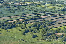 Haies dans le Schleswig-Holstein