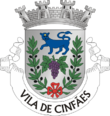 Vlag van Cinfães