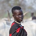 * Nomination Cattle camp of the Mundari tribe, Terekeka, South Sudan --Poco a poco 08:44, 3 March 2024 (UTC) * Promotion  Support Good quality. --JoachimKohler-HB 08:53, 3 March 2024 (UTC)