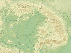 Carpathians relief location map.jpg
