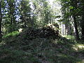 English: Remeins of the cemetery and st. Demetrius Orthodox Church in Caryńskie Polski: Ruiny cmentarza oraz cerkwi p.w. św. Dymitra z 1777 r