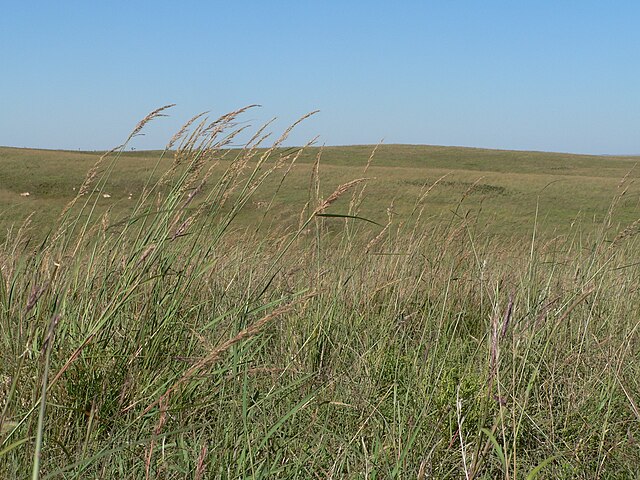 Willa Cather Memorial Prairie in Webster County, Nebraska