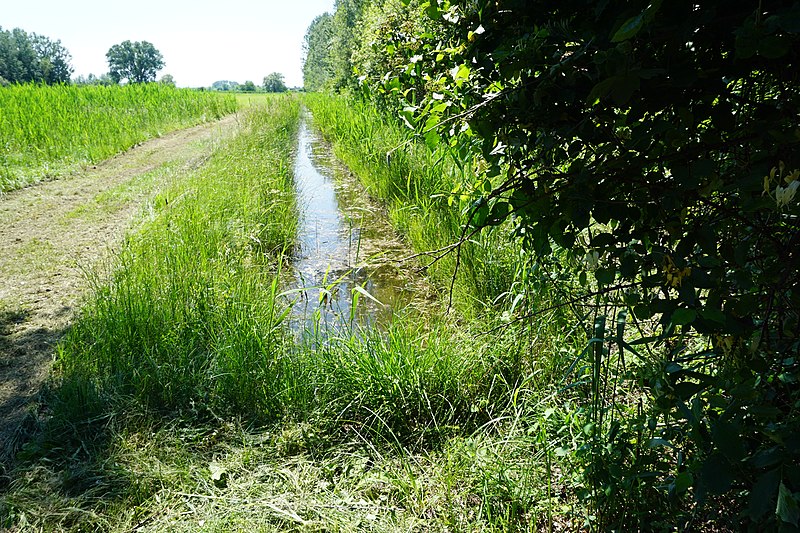 File:Cavana di Monfalcone.jpg