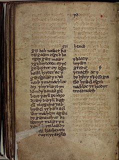 <i>Brut y Tywysogion</i> book (work)