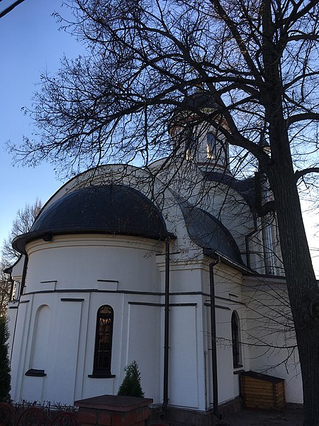 File:Church of the Theotokos of Tikhvin, Troitsk - 3639.jpg