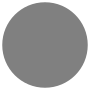 Circle Grey Solid.svg