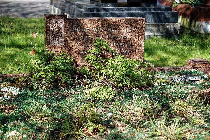 File:City of London Cemetery - overgrown granite grave with glass chippings.jpg