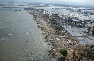 <span class="mw-page-title-main">2004 Indian Ocean earthquake and tsunami</span> Earthquake and subsequent tsunami in the Indian Ocean