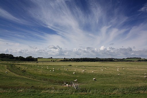 Coast path, Pett Level Road, Near Rye - panoramio (3)