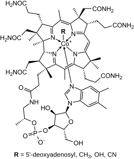 Vitamin B<sub><small>12</small></sub> Vitamin used in animal cells metabolism