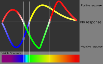 English: A graph or how the brain interprets color