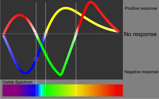 File:Color perception.svg