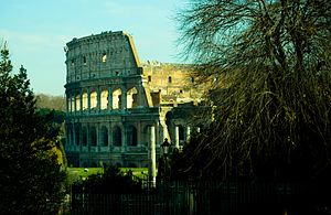 Colosseum in Spring, Rome, Italy