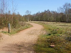 Трасса в загородном парке - geograph.org.uk - 690235.jpg