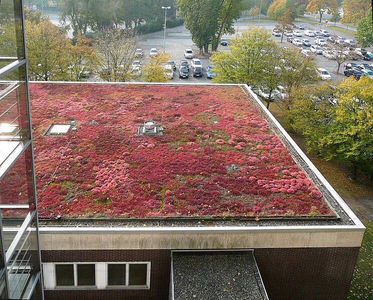 File:Dachbegrünung in rot.jpg