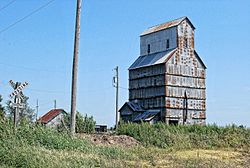 Dalton Kansas Elevator 8-24-2009.jpg