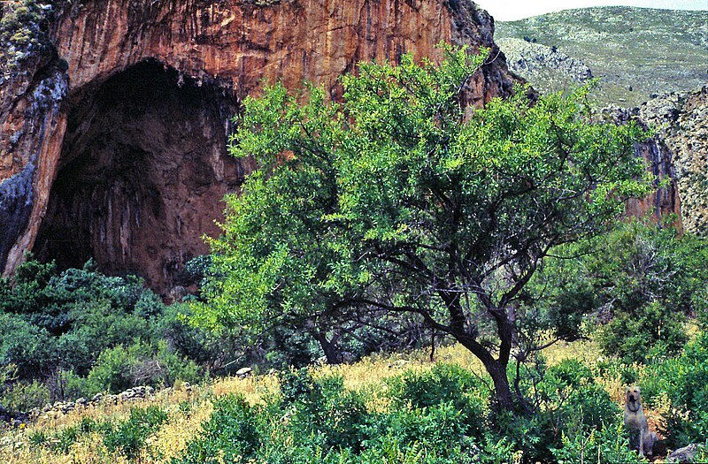 File:De- San Vito lo Capo, Zingaro-NatSchGeb, Uzzo-Grotte.jpg